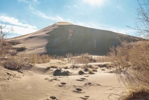 Altyn-Emel-Nationalpark: 1-tägiges Abenteuer