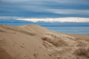 Altyn-Emel-Nationalpark: 1-tägiges Abenteuer
