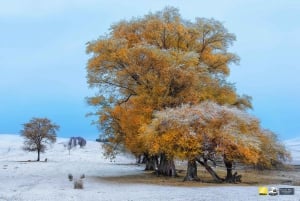 Parque Nacional de Altyn-Emel UNESCO