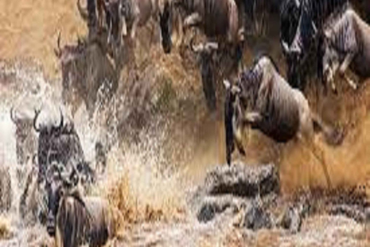 Arusha: 3-Day Safari to Ngorongoro Crater and Serengeti