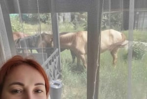 Astana: 10-dagars hästtur i Bayanaul National Park