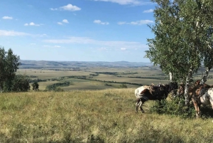 Astana: 10-dagars hästtur i Bayanaul National Park