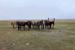 Astana: 10-dagars hästtur i Bayanaul National Park