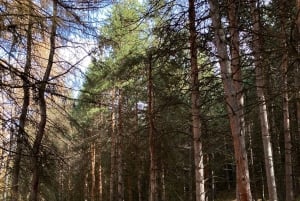 Astana: 10-dagars hästtur i Bayanaul National Park