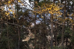 Astana: 10-dagars hästtur i Bayanaul National Park