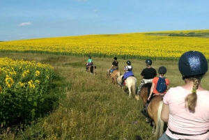 Astana: 10-dagars hästtur i Bayanaul National Park