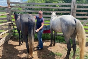 Astana: 2-dniowy pobyt na ranczu i zwiedzanie historycznego mauzoleum