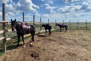 Astana: 2-dniowy pobyt na ranczu i zwiedzanie historycznego mauzoleum