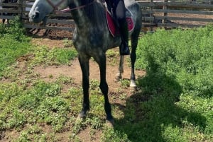 Astana: 2-dniowy pobyt na ranczu i zwiedzanie historycznego mauzoleum