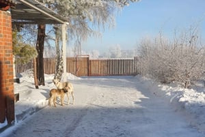 Astana: 2-dniowy pobyt na ranczu i zwiedzanie historycznego mauzoleum