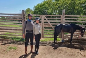 Астана: 3 дня и 2 ночи на ранчо, конные прогулки по окрестностям деревни