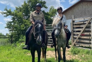 Астана: 3 дня и 2 ночи на ранчо, конные прогулки по окрестностям деревни