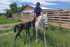Астана: 3 дня и 2 ночи на ранчо, конные прогулки по окрестностям деревни