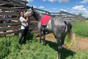 Астана: 3 дня и 2 ночи на ранчо, конные прогулки по окрестностям деревни