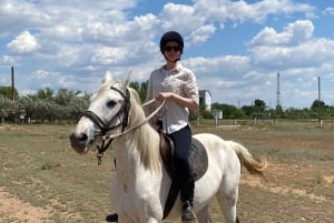 Астана: 3 дня и 2 ночи на ранчо, конные прогулки по окрестностям деревни