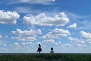 Астана: 3 дня и 2 ночи на ранчо, конные прогулки по окрестностям деревни