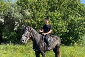 Астана: 3 дня и 2 ночи на ранчо, конные прогулки по окрестностям деревни