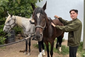 Астана: 3 дня и 2 ночи на ранчо, конные прогулки по окрестностям деревни