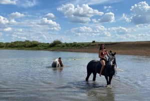 Астана: 3 дня и 2 ночи на ранчо, конные прогулки по окрестностям деревни