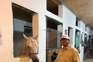 Астана: 3 дня и 2 ночи на ранчо, конные прогулки по окрестностям деревни