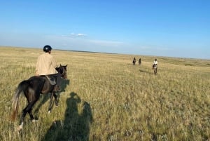 Астана: 3 дня и 2 ночи на ранчо, конные прогулки по окрестностям деревни