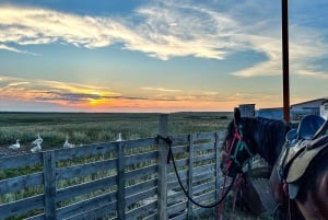 Астана: 3 дня и 2 ночи на ранчо, конные прогулки по окрестностям деревни