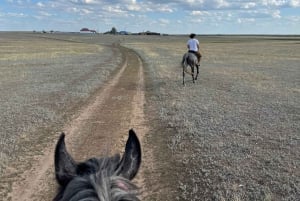 Астана: 3 дня и 2 ночи на ранчо, конные прогулки по окрестностям деревни