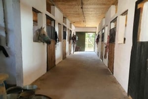 Астана: 3 дня и 2 ночи на ранчо, конные прогулки по окрестностям деревни