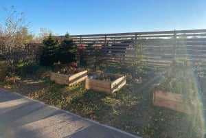 Астана: 3 дня и 2 ночи на ранчо, конные прогулки по окрестностям деревни