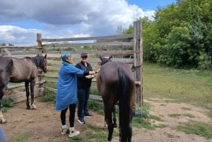 Астана: 3 дня и 2 ночи на ранчо, конные прогулки по окрестностям деревни