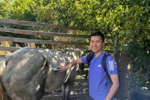 Астана: 3 дня и 2 ночи на ранчо, конные прогулки по окрестностям деревни