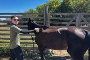 Астана: 3 дня и 2 ночи на ранчо, конные прогулки по окрестностям деревни