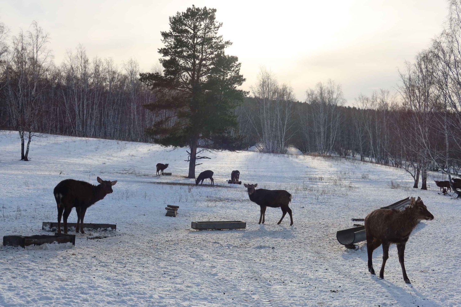 Astana: Burabay Nature, Wine, Cheese, and Horseback Ride