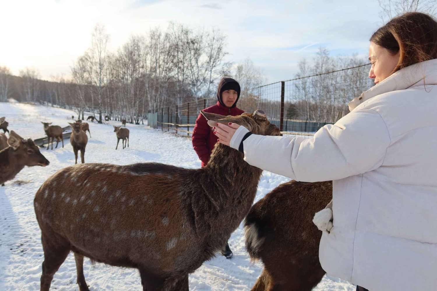 Astana: Burabay Nature, Wine, Cheese, and Horseback Ride