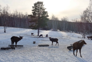 Astana: Burabay Nature, Wine, Cheese, and Horseback Ride
