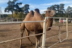 Astana: Burabay Oasis National Park Adventure