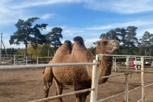 Astana ao Parque Nacional do Oásis de Burabay: Privado com tudo incluído