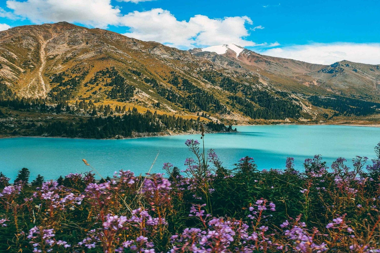 Big Almaty Lake and Falcon Show