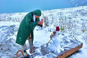 Big Almaty Lake: Choose Your Adventure on Foot or by Car