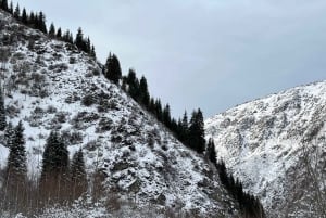 Big Almaty Lake: Winter private tour