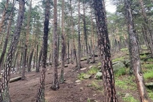 Astana ao Parque Nacional do Oásis de Burabay: Privado com tudo incluído