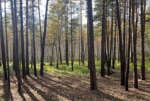 Astana ao Parque Nacional do Oásis de Burabay: Privado com tudo incluído