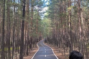 Astana ao Parque Nacional do Oásis de Burabay: Privado com tudo incluído