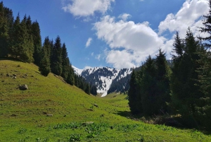 'Butakovka Waterfall' - a half day tour