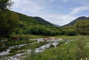 Excursión de 2 días a Charyn, Kolsay y Kaindy con alojamiento en Mount View