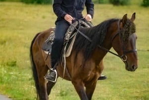 Från Almaty: 2-dagars yurtläger, ridtur och jeeptur