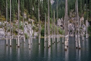 From Almaty: Bartogai, Kolsay & Kaindy lakes, Charyn Canyon