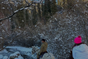 Desde Almaty Excursión de un día al Cañón Charyn y los Lagos Kolsai-Kaindy