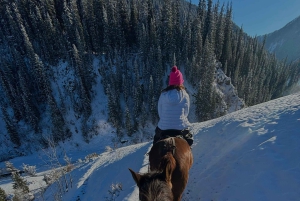 Desde Almaty Excursión de un día al Cañón Charyn y los Lagos Kolsai-Kaindy