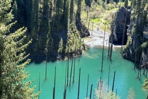 Från Almaty: Dagsutflykt till Kolsay-sjön, Charyn och Black Canyon